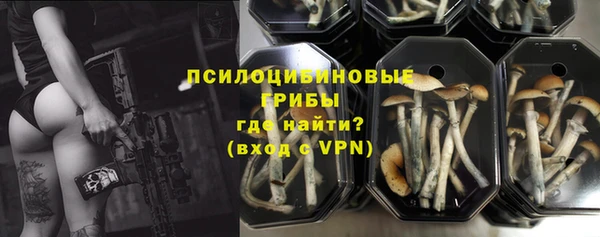 винт Алексеевка