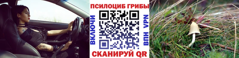 даркнет какой сайт  цены   Шуя  Галлюциногенные грибы мухоморы 